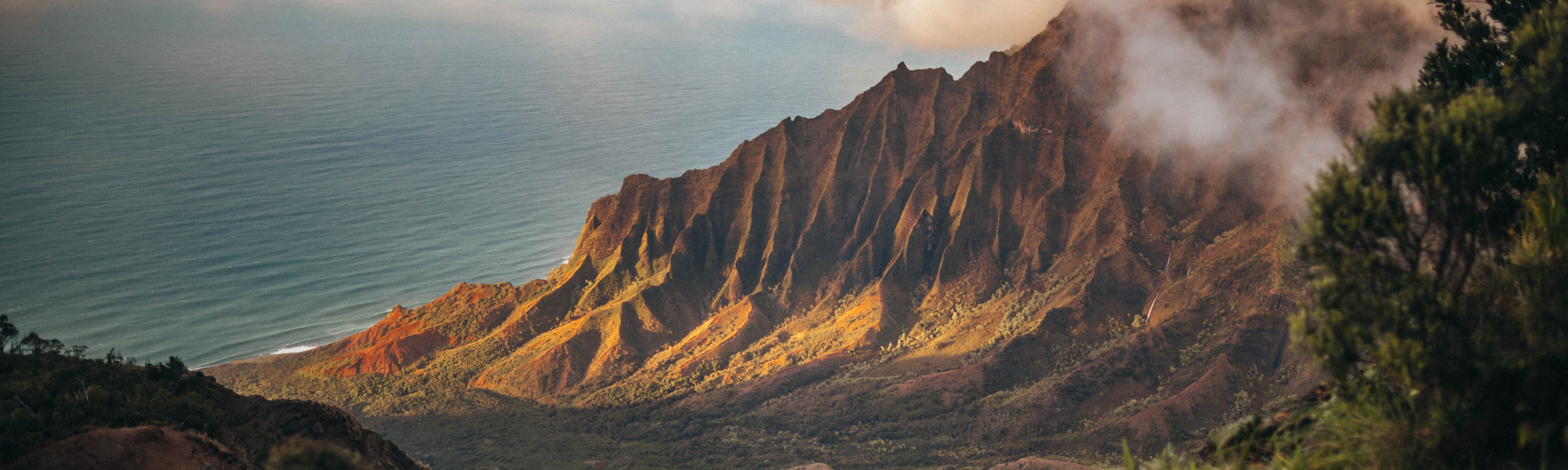 Overcoming Challenges and Embracing Climate Action on the Path to Net Zero